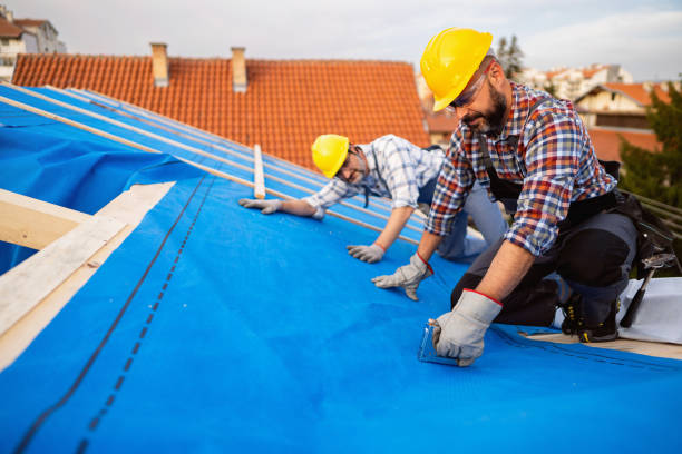Roof Gutter Cleaning in Churchill, OH